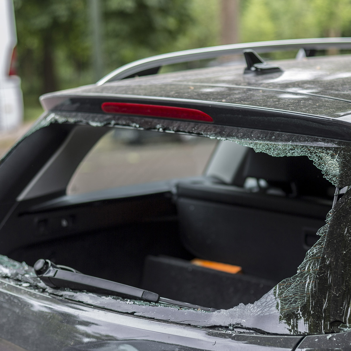 Back windshield replacement sales