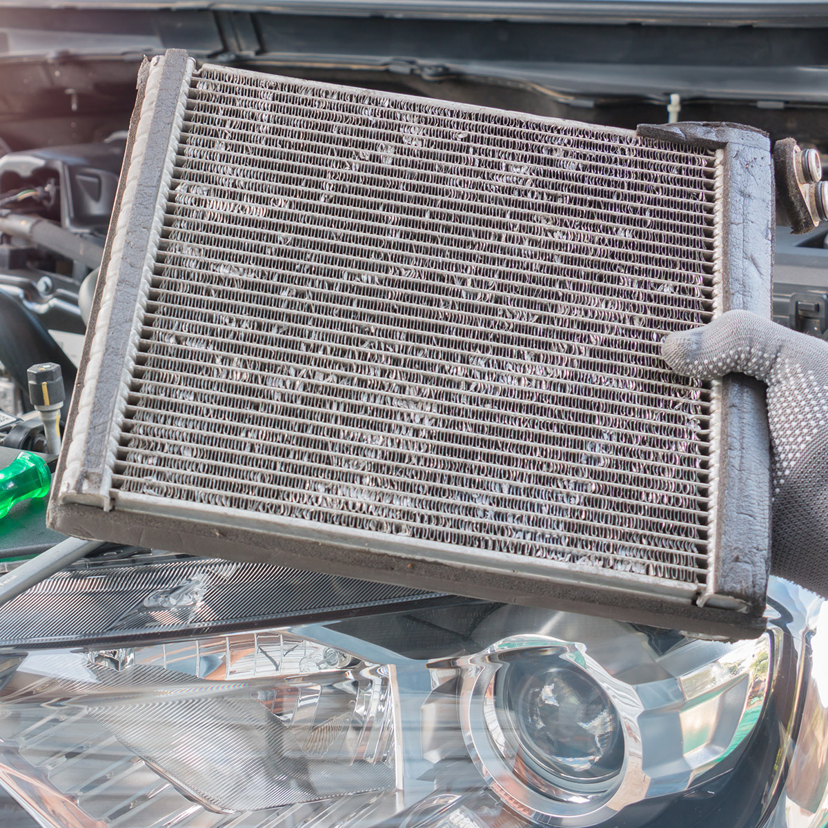 Mitsubishi Express Van radiator bottom hose replacement | AutoGuru